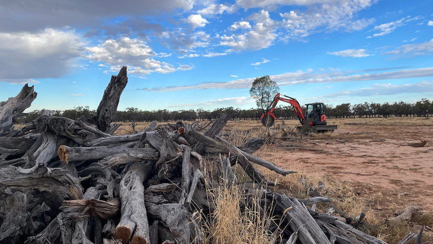 Queensland Gidgee Brothers Excavator Saw